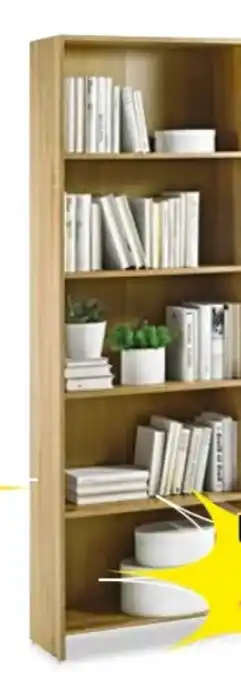 Möbel Boss Regal Bobby Angebot