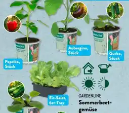 Aldi Süd Gardenline Sommerbeetgemüse Angebot