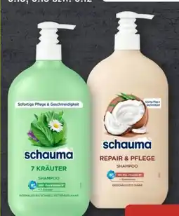 Aldi Süd Schwarzkopf Schauma Shampoo Angebot