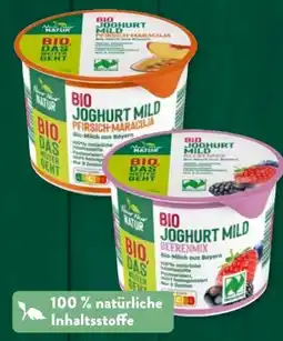 Aldi Süd Nur Natur Bio-Joghurt mild Angebot