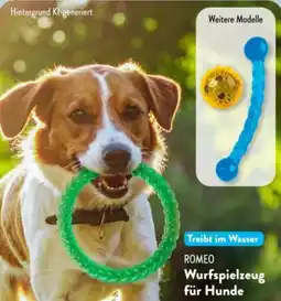 Aldi Süd Romeo Wurfspielzeug Angebot