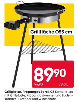 Rusta Grillplatte, propangas sarek gs Angebot