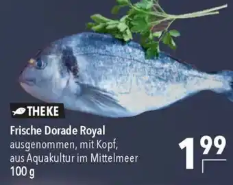 CITTI Markt Frische Dorade Royal Angebot