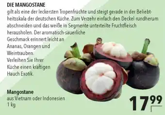 CITTI Markt Mangostane Angebot
