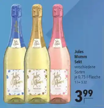 CITTI Markt Jules Mumm Sekt Angebot