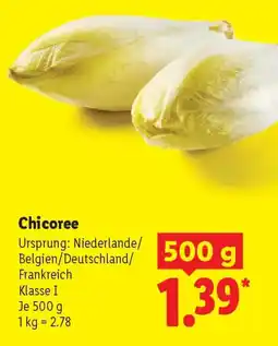 Lidl Chicoree Angebot