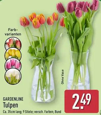 Aldi Nord GARDENLINE Tulpen Angebot