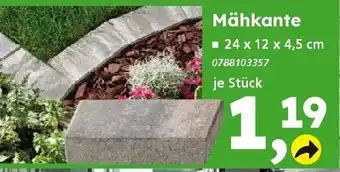 Globus Baumarkt Mähkante Angebot