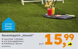 Globus Baumarkt Rasenteppich ,,Hawaii" Angebot