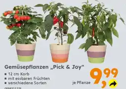 Globus Baumarkt Gemüsepflanzen „,Pick & Joy" Angebot
