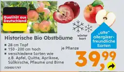 Globus Baumarkt Historische Bio Obstbäume Angebot