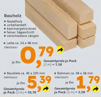 Globus Baumarkt Bauholz Angebot