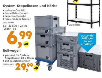 Globus Baumarkt System-Stapelboxen und Körbe Angebot