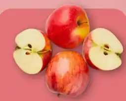 Aldi Nord Tafelapfel Angebot