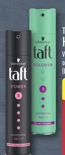 Aldi Nord Schwarzkopf Taft Haarspray Angebot