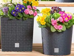 PENNY Prosperplast Blumentopf Rato Angebot