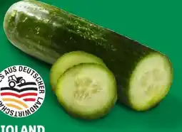 Lidl Mini Bio Gurken Angebot