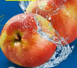 Lidl Äpfel Angebot