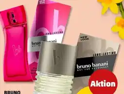 PENNY Bruno Banani Men EDT Angebot