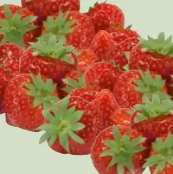 Edeka Xpress Erdbeeren Angebot