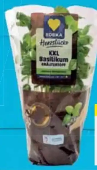 E-Center Edeka Herzstücke XXL Basilikum Angebot