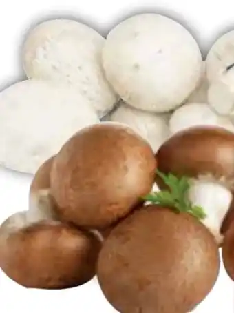 Edeka Riesenchampignons Angebot