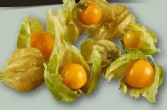 REWE Center Physalis Angebot