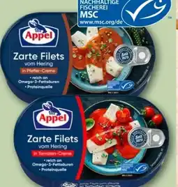 REWE Appel Zarte Filets vom Hering Angebot