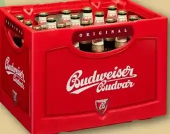 REWE Budweiser Budvar (CZ) Czech Premium Lager Angebot