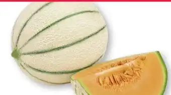 Scheck-in-Center Cantaloupe Melone Angebot