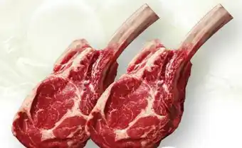 Scheck-in-Center Tomahawk Angebot