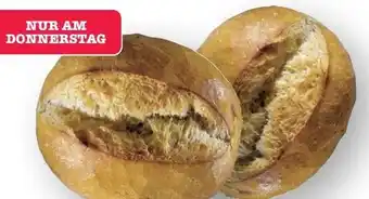 Scheck-in-Center Scheck-in Bäckerei Ofenfrische Brötchen Angebot
