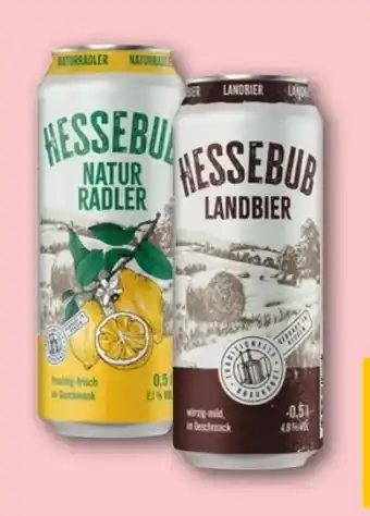 REWE Center Hessebub Landbier Angebot