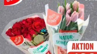 Edeka Gut & Günstig Moosrosen Angebot