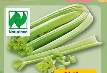 REWE Center Rewe Bio Staudensellerie Angebot