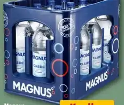 REWE Center Magnus Mineralwasser Angebot