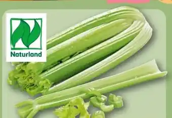 REWE Rewe Bio Staudensellerie Angebot