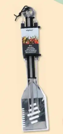 Budni Alpina Haushalt Grillzubehör Angebot