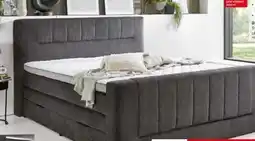 porta Boxspringbett KENOSHA Angebot