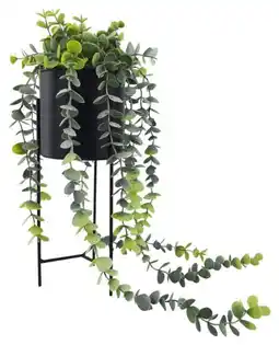 Mömax Kunstpflanze Joni Angebot