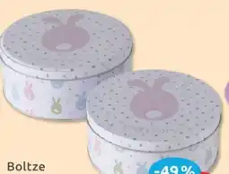 Budni Boltze Gruppe Vorratsdose Eggard Angebot