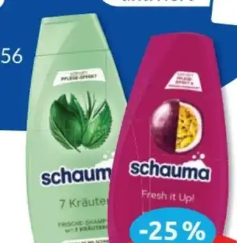 Budni Schwarzkopf Schauma Shampoo Angebot