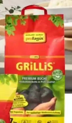 Hellweg proFagus Holzkohlebriketts Grillis Angebot