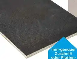 Globus Baumarkt Siebdruckplatte Eukalyptus Angebot