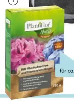 Hellweg Plantiflor BIO Rhododendron- und Hortensiendünger Angebot