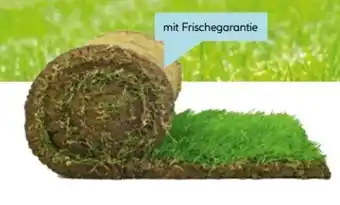 Hellweg Rollrasen Angebot