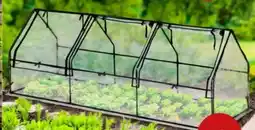 PENNY Florana Frühbeet Angebot