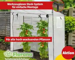 PENNY Florana Tomatengewächshaus Angebot