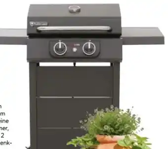 Hellweg Rothmann Elektrogrill eSTAR Angebot