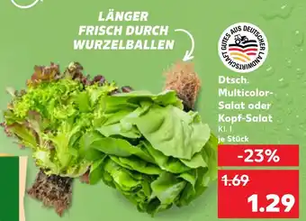Kaufland Dtsch. multicolor-salat Angebot
